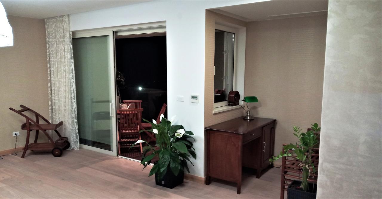 Apartment Anthurium Lux