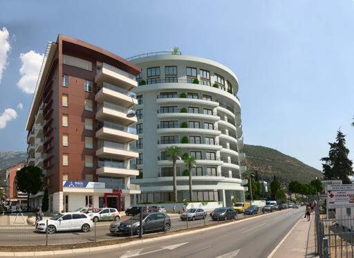 Anthurium Lux Budva